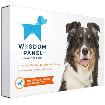 Recommended gifts for dogs!  Deals up to 50% off ,  Holiday deals.  Dog DNA tests