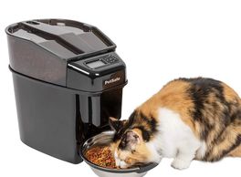 Looking for the best dog feeder options?  Look no further.  Dog feeders at great prices.