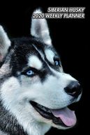 Gifts for the Siberian Husky lover.  Beautiful photography in this Siberian Husky Calendar.  Unique 