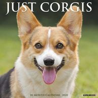 Gifts for the Corgi lover.  Beautifully photographed Corgi calendar. Unique dog gifts.