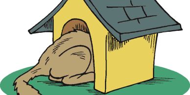 Dog boosty boosts!  10 Ways to Getting Out of The Dog House.  For you men 20 or more.  I'm kidding. 