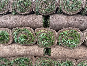 Rolled sod stacked in neat rows ready for installation.