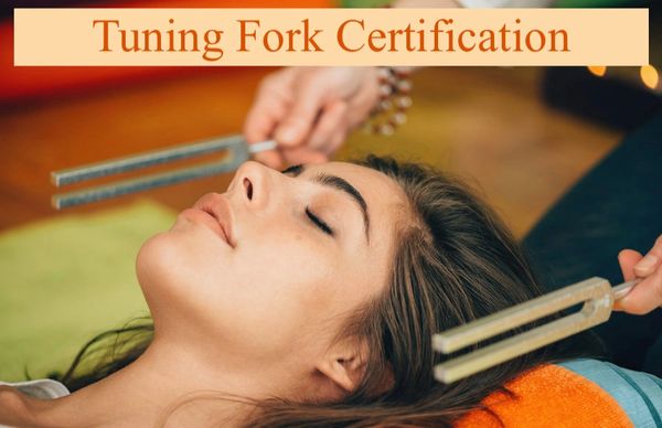 Vibrational therapy, tuning forks, frequency, sound therapy, shaman, reiki, chakras, energy field
