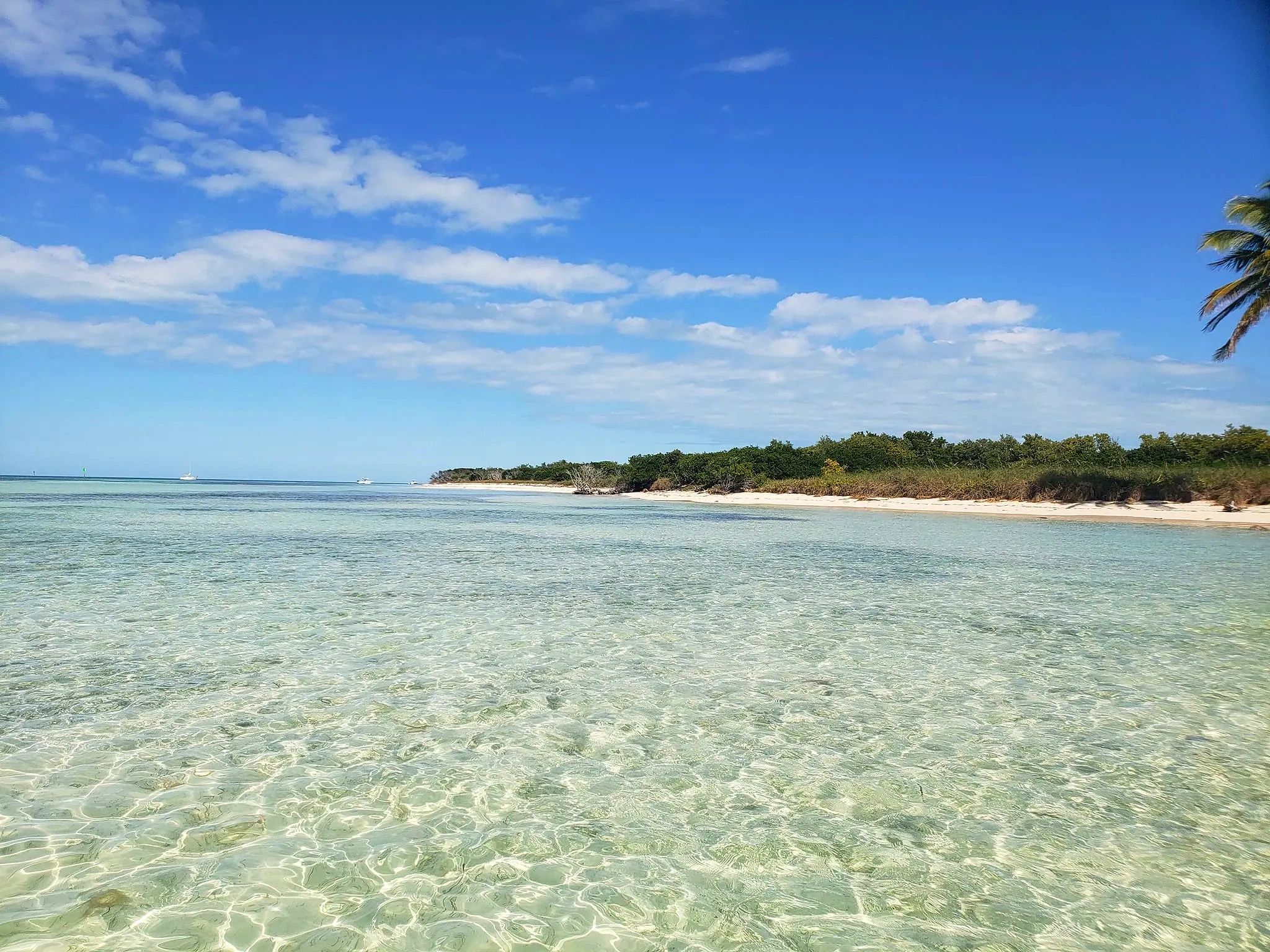 Snorkel and Sandbar Charters Key West, Florida