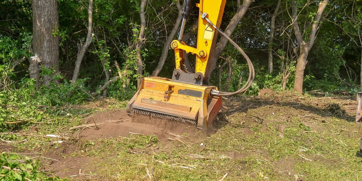 Land clearing with a mulcher