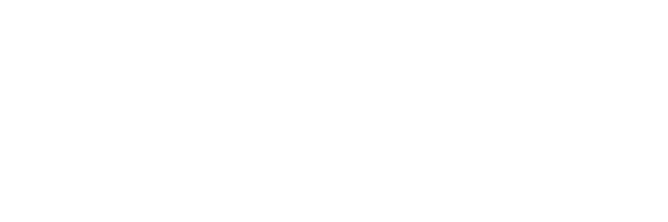 orion capital