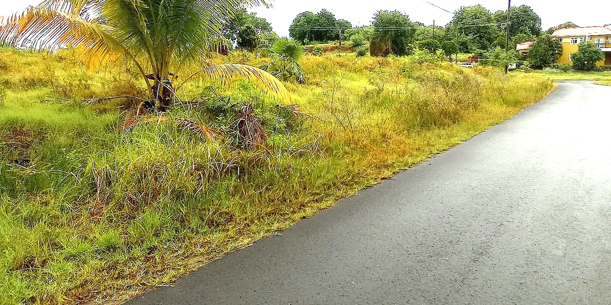 5 lots for for sale Cannelles beach ocean front in the near 