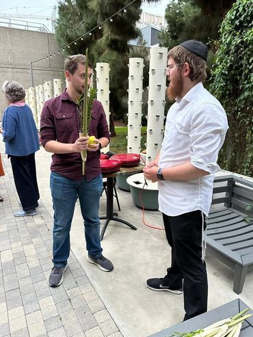 the lulav shake at chabad: jewish life at ucsd