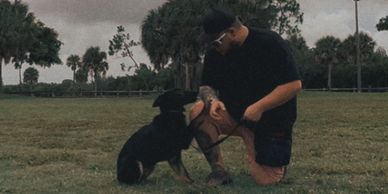 Person kneeling with dog outdoors on grass.