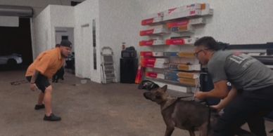 Two men with a dog indoors near shelves.
