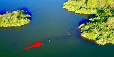 View from a drone above Banner Marsh