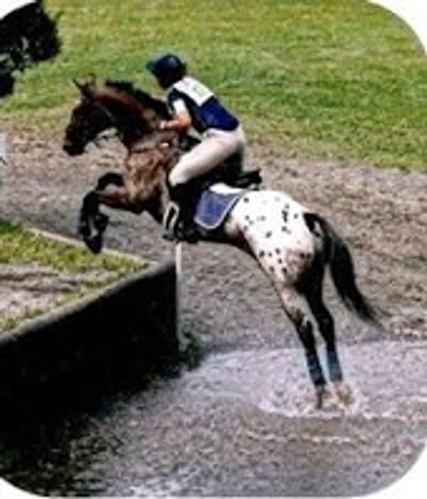 Horse Dayz Summer Camp Cold Brook Farm