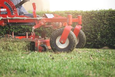 Close-up of a red lawn mower cutting grass on a sunny day.