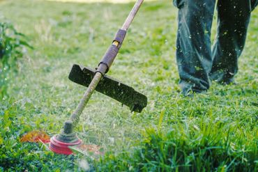 Person using a weed trimmer to cut grass outdoors.