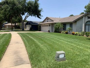 A suburban house with a neatly mowed lawn and a sidewalk.