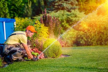 Gardener watering plants in a sunny garden with a hose.