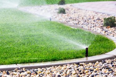 Sprinklers watering a green lawn edged with stones.