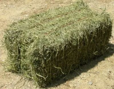 Hay Sales