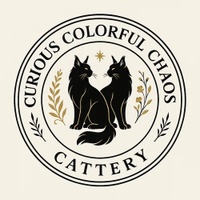 Curious Colorful Chaos Cattery