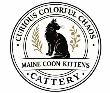 Curious Colorful Chaos Cattery