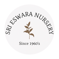 Sri Eswara Nursery 