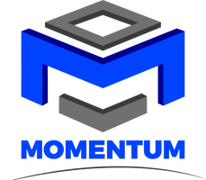 Momentum Group LLC