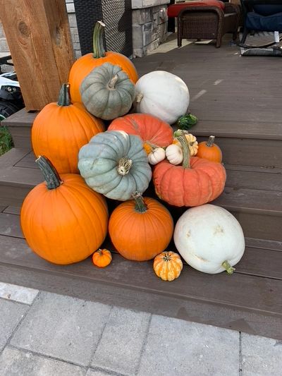 porch filled with coloured pumpkins