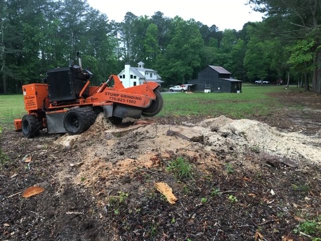 Stump Grinding