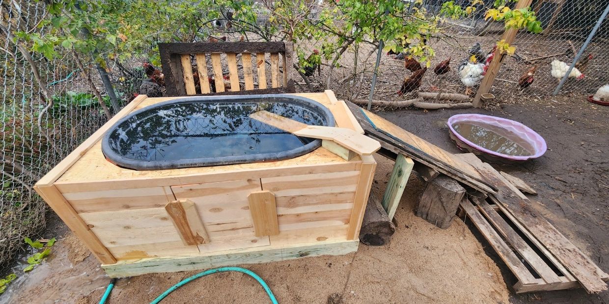 A homemade wooden chicken waterer with a black basin and a ramp inside a fenced chicken coop.