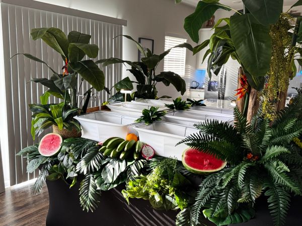 Tropical-themed setup with fruits and plants.