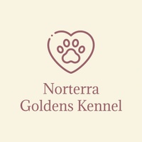 Norterra Goldens Kennel