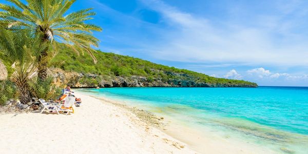 tropical beach with white sand