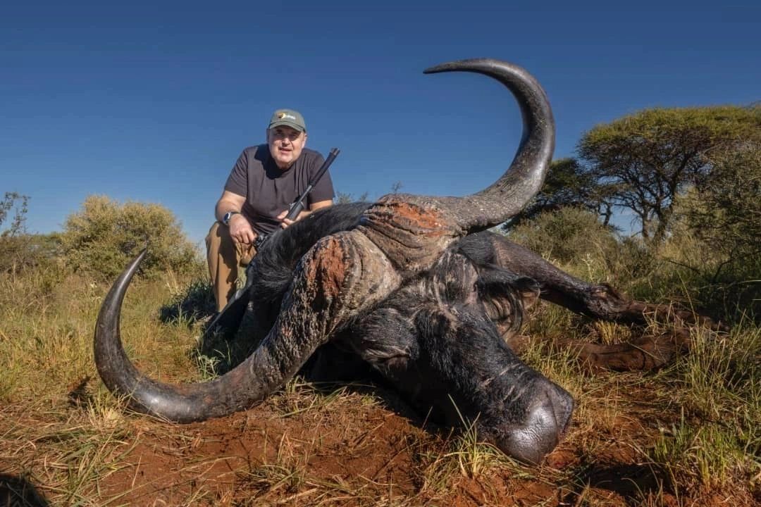 AFRICAN HUNT BUFFALO