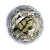 360 Ports Inc