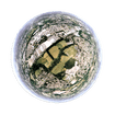 360 Ports Inc