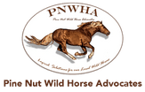 pine nut wild horse advocates