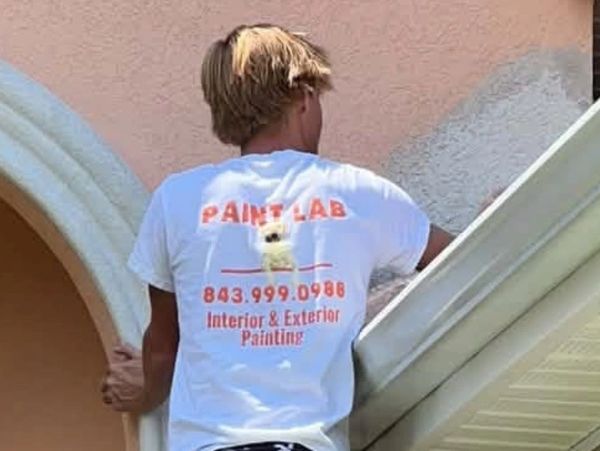 Owner Painting