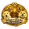 Wags to Richs 