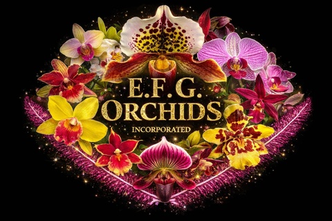 E.F.G. Orchids