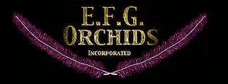 E.F.G. Orchids