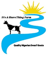 It’s a shore thing farm