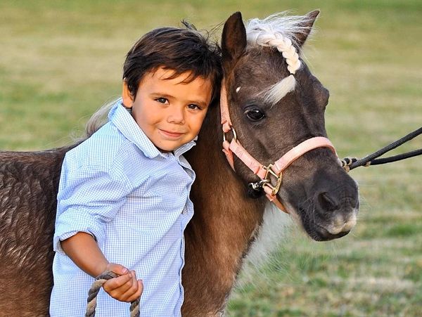 A young boy hugging a miniature horse.