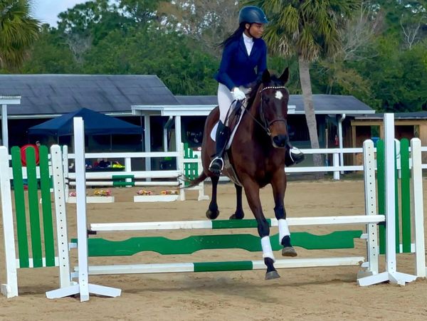 Girl competing in a jumper show riding a brown horse.