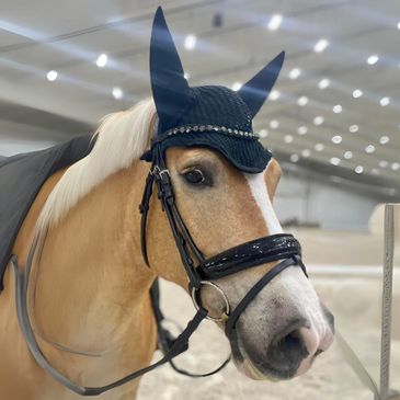 Wally the horse.