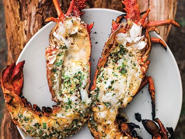 Grilled Tropical Rock Lobster