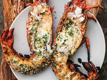 Grilled Tropical Rock Lobster