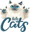 Hello Cats Ragdolls