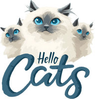 Hello Cats Ragdolls