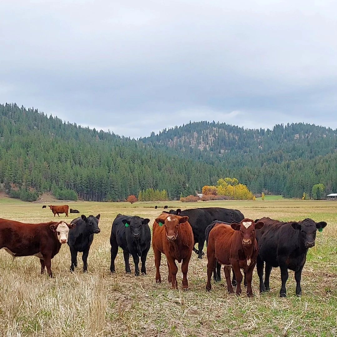 Facebook image from Everly Farms