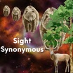 Sight Synonymous 